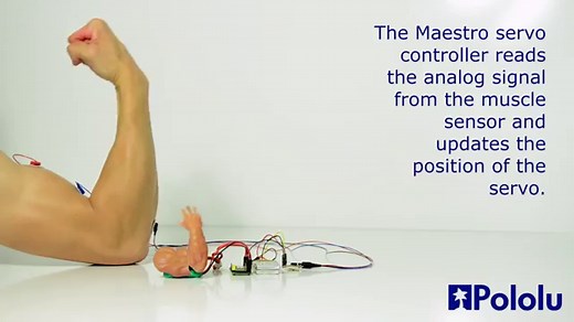 Pololu - Advancer Technologies Muscle Sensor v3