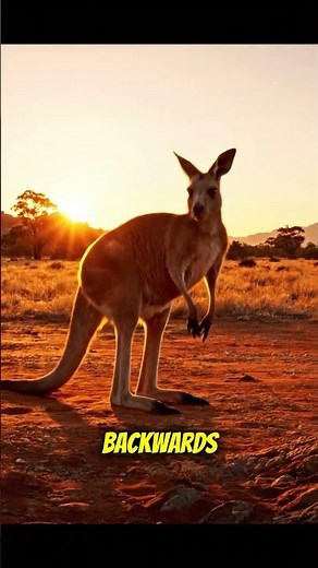 The STRANGEST Animal Behaviors That Are Actually True 😳#FunnyAnimals #AnimalFacts #FunFacts #viral