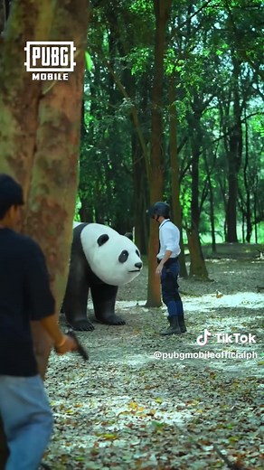Meet the Panda in PUBG Mobile's Battlegrounds