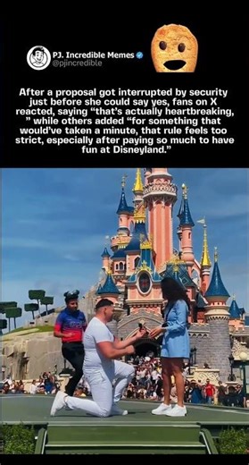 After a proposal got interrupted by security just before she could say yes, fans on X reacted