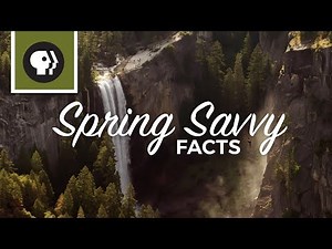 6 Facts to Show Your Spring Savvy