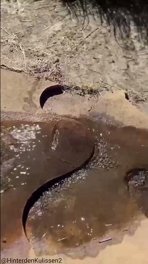 The Truth About HEXAGONAL WATER! Is It REAL?