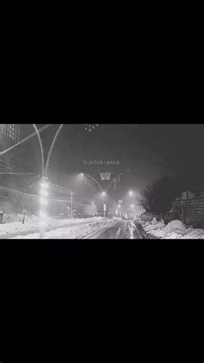 Exploring the Legacy of Barzani: A Cultural Insight