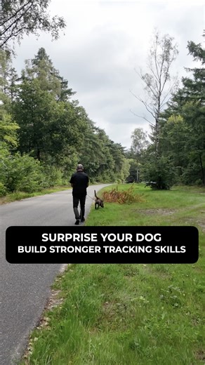 16K views · 334 reactions | Most people think tracking is just about...