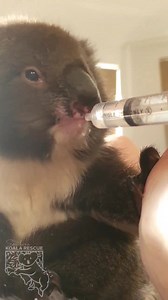 11K views · 3.2K reactions | It is really important to never  pour...