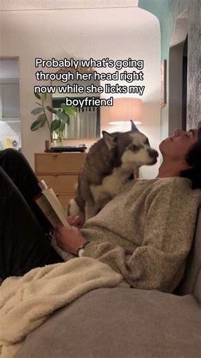 Hilarious Jealousy of Dogs Towards Men