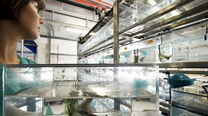 Debate sobre la experimentación animal - El·lipse