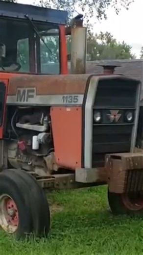 Massey Ferguson 1135 #tractor #tractors #agriculture