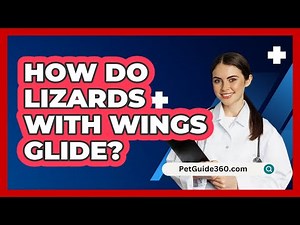 How Do Lizards with Wings Glide? - PetGuide360.com
