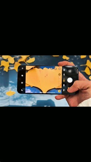 OPPO Reno 15 Camera Test 🔥 Real Photos & Video Results!