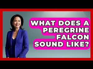 What Does A Peregrine Falcon Sound Like? - Bird Watching Diaries
