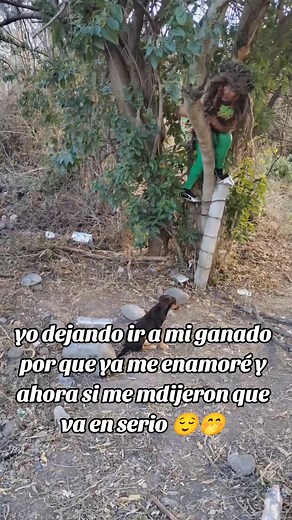 2.9M views · 32K reactions | Yo alejando a mi ganado por qué ya me enamore‼️怜來藍藍 #ganado #amor | Nicol rikelme deloyo | Facebook