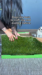 Dogs naturally gravitate toward grass. It’s familiar, comforting, and taps into their instincts to sniff, dig, and explore. Using real grass for potty training, whether indoors or on a patio, helps them understand where to go while keeping routines stress-free for both dogs and owners.🐶 #puppypad #pottytraining #pottytrainingtips #stressfree #dogparents | DoggieLawn