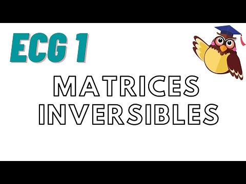 Matrices : cours 9 ECG ; matrices inversibles