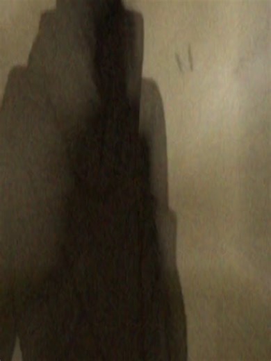 Araragi's Journey in Monogatari Series Explained