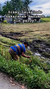 379K views · 9.7K reactions | Kan aki aki gibo gibo mi ini, sayang man baga kang mga tada tada sa inanihan. Mapagal pero sulit ang pagal pag mapapisar na. Makamison man #padingnes | Pading Nes | Facebook