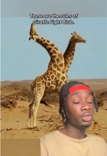 Giraffe Neck Swing Fight - The 90% Myth Exposed
