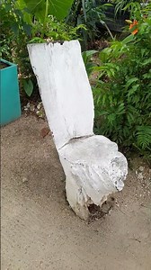 What a beautiful chair made from a tree root!