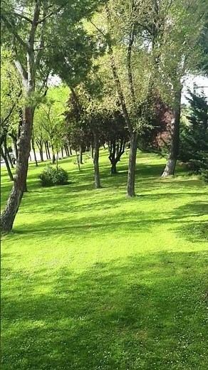 Patsy Cline - She's got you