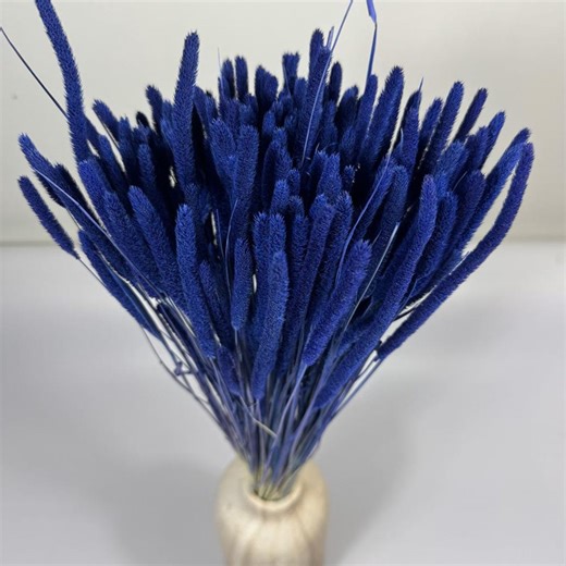 150 Dried Phleum (timothy Grass), Navy, Dried Flowers, Cake Decoration, Boho, Bouquet, Pampas - Etsy
