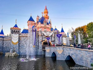 Disneyland Castle vs Disney World Castle – COMPLETE Breakdown | the disney food blog