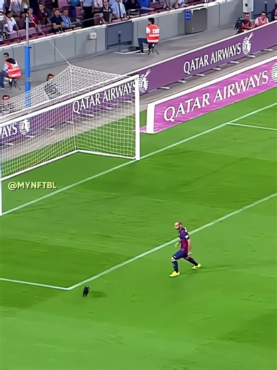 Random videos on Dailymotion internet