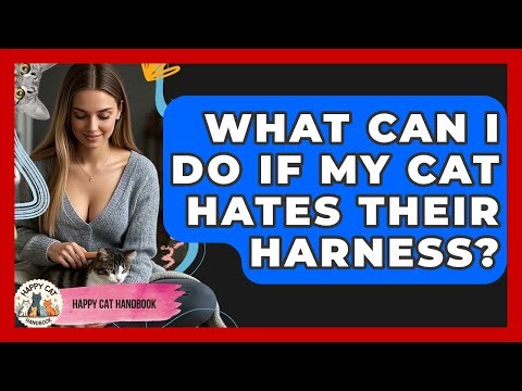 What Can I Do If My Cat Hates Their Harness? - Happy Cat Handbook