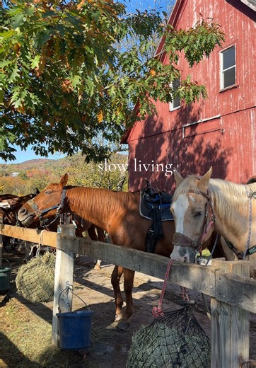 My ideal Saturday 🍂