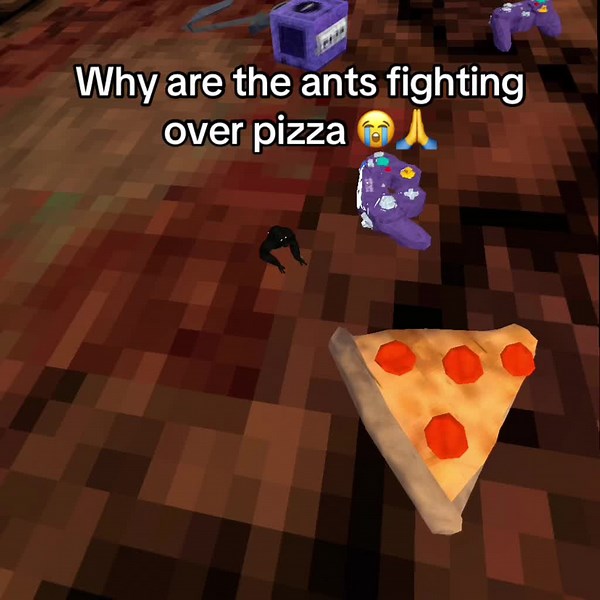 Ants Fighting Over Pizza - Who Will Win?