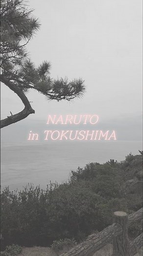 Must-Visit Spots in Tokushima, Japan – Naruto Park: Aqua Eddy, Uzu-no-Michi Observatory