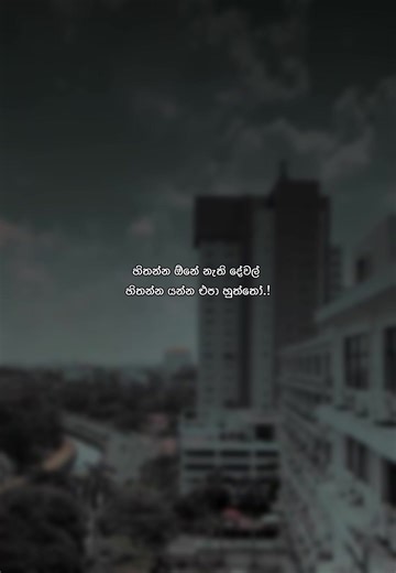 Podda official on TikTok