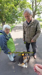 Their fourth dog since getting married - meet Shadow 🖤 From a Golden Retriever and a Border Collie - both given to them with love, to their second Sheltie, because they adored the first so much 🥰 They were such a lovely couple, and I really enjoyed hearing their stories of not just about Shadow, but all the dogs they’ve loved before 🐶❤️ #dogphotography #dogphotographer #dogportrait #strangerportrait #povphotography #shetlandsheepdog #sheltie | fetchmycamera