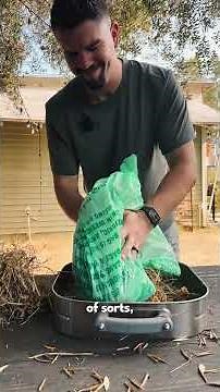 How To Save Nasturtium Seeds The Easy Way