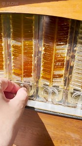 12M views · 231K reactions | Starting the weekend with a honey harvest in preparation for Spring  Let us know which season you are in!  #honeyharvest #flowhive #pov | Flow Hive | Facebook