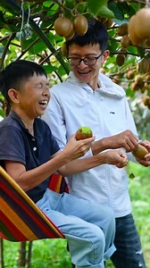 53K views · 568K reactions | The green flesh exudes an attractive fruit fragrance #KangzaiFarmers #immersive #picking #radish #rurallife | KangzaiFarmers | Facebook