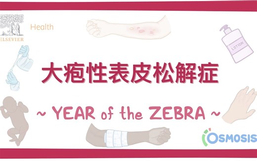 【Osmosis | 斑马年特辑】大疱性表皮松解症（中英字幕）