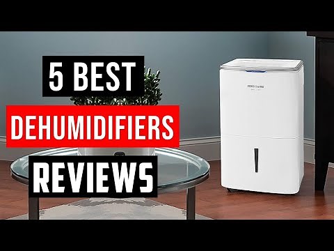 ✅Top 5 Best Dehumidifier In 2025 With Buying Guide