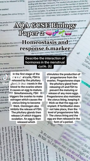 GCSE Biology Paper 2 Revision Guide for Homeostasis