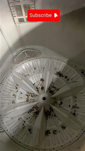 Nobody Told Me This Trick to Open a Washing Machine Fan 😳