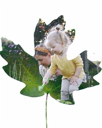 16K views · 37 reactions | Good things are sprouting up.  With the Double Exposure Guided Edit in Premiere Elements, easily play a video within a photo. | Adobe Photoshop Elements & Premiere Elements | Facebook