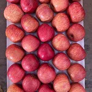[Hot Item] Fresh 2024 Crop Red FUJI Apples From China for Wholesale 100PCS