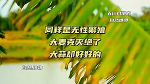 无性繁殖下的病原体选择压力：绝对复制的生存悖论，时间静止的进化迷宫