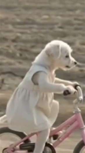 #doglove #likeandsubscribe #trendingshort #millenium!puppies