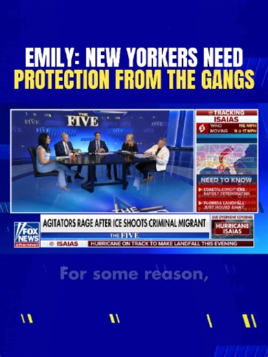 Emily Compagno: ICE Shooting 'Doesn't Fit the Narrative'