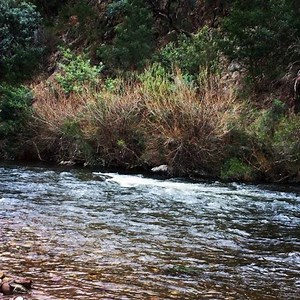 1.3K views · 99 reactions | River is up a little | Paradise Valley Campground | Facebook