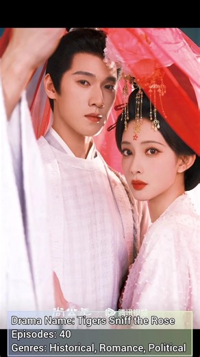 TIGERS SNIFF THE ROSE (Upcoming Chinese Drama)
