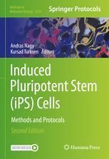 Human Pluripotent Stem Cell Differentiation to Microglia