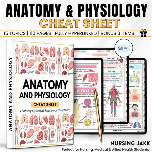 Anatomy & Physiology Cheat Sheet PDF | Nursing AP Study Guide | Medical Student Notes | Exam Prep | Digital Download | Free 3 Item in Bundle - Etsy