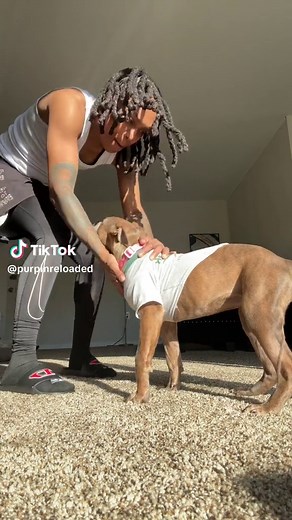 Adorable Bully Puppy Videos: Cute Dog Shaking & Screaming Compilation