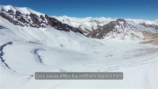 AI and Community Intelligence | SEEDS